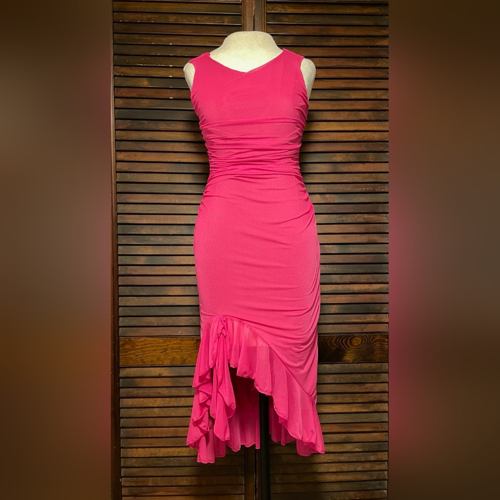 Fuschia Ruched Dress, size small NWOT